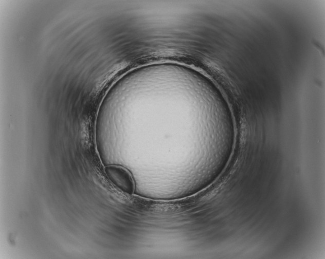 X0000102811305200809021150