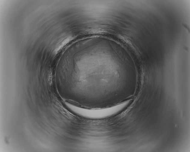 X0000102811306200809021150