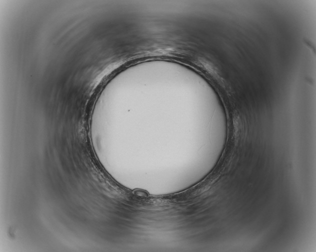 X0000102811308200809021150