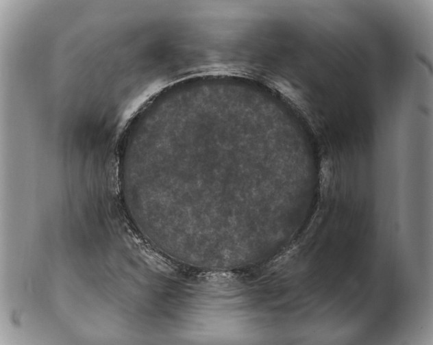 X0000102811310200809021150