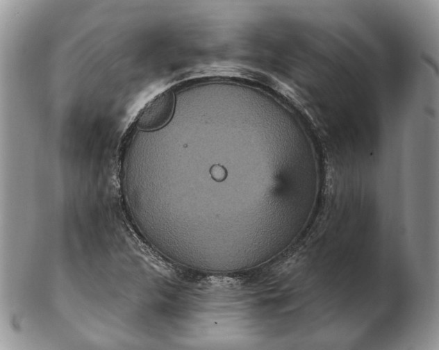 X0000102811312200809021150