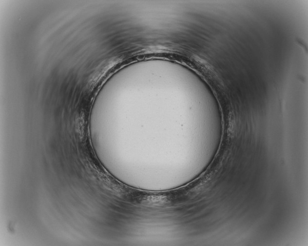 X0000102811313200809021150