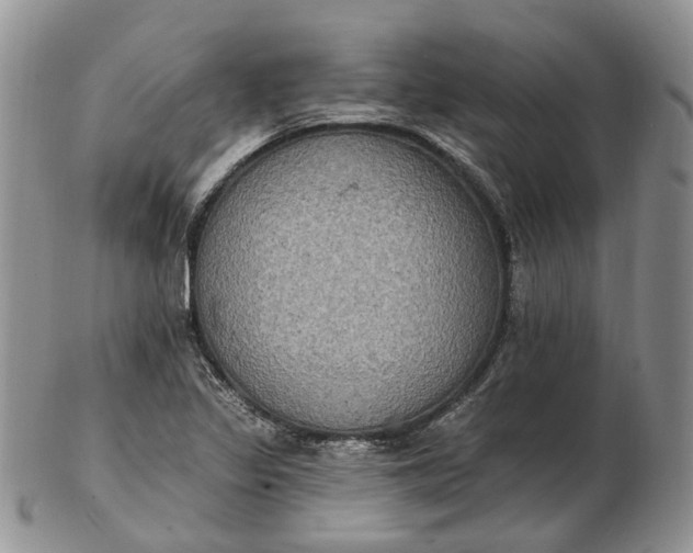 X0000102811317200809021150