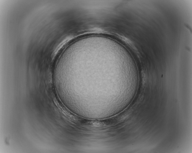 X0000102811318200809021150