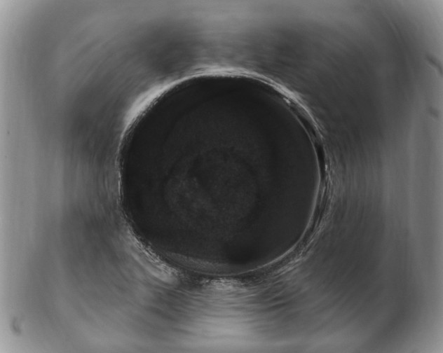 X0000102811319200809021150