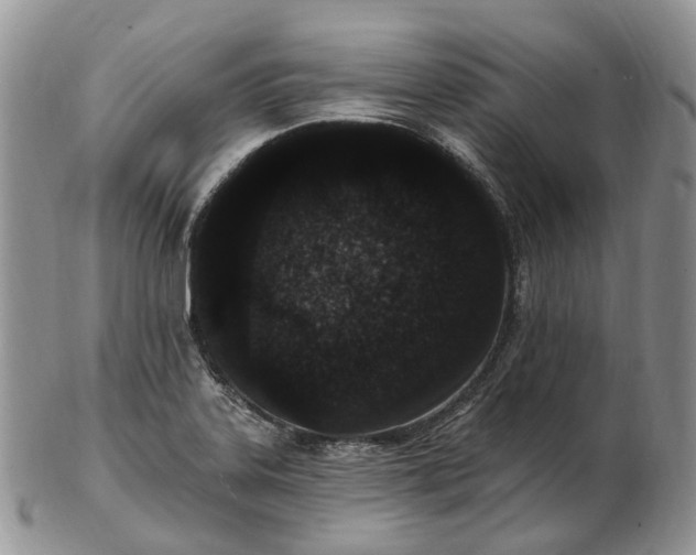 X0000102811323200809021150