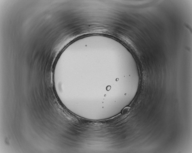 X0000102811324200809021150