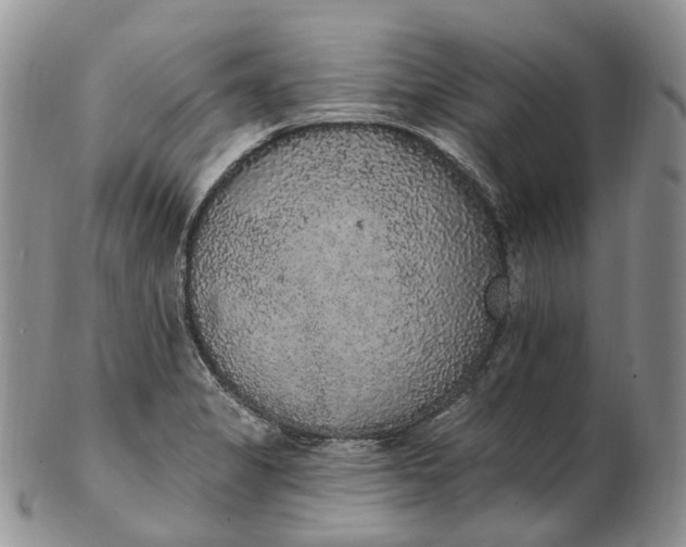 X0000102811325200809021150