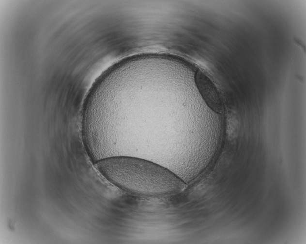 X0000102811326200809021150