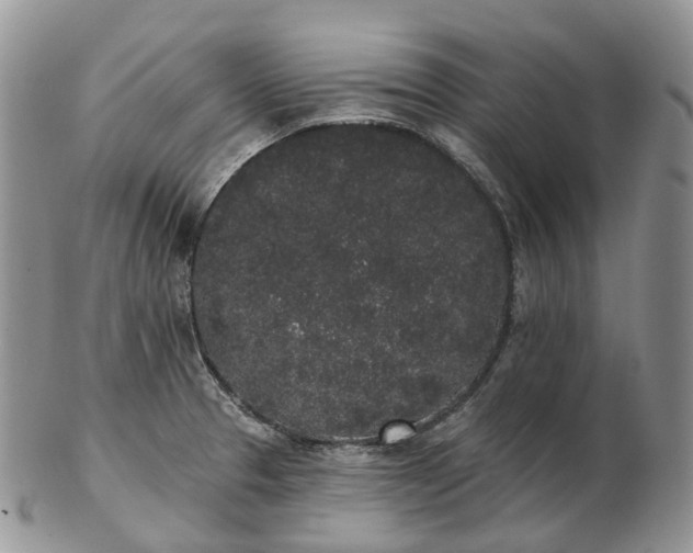 X0000102811329200809021150