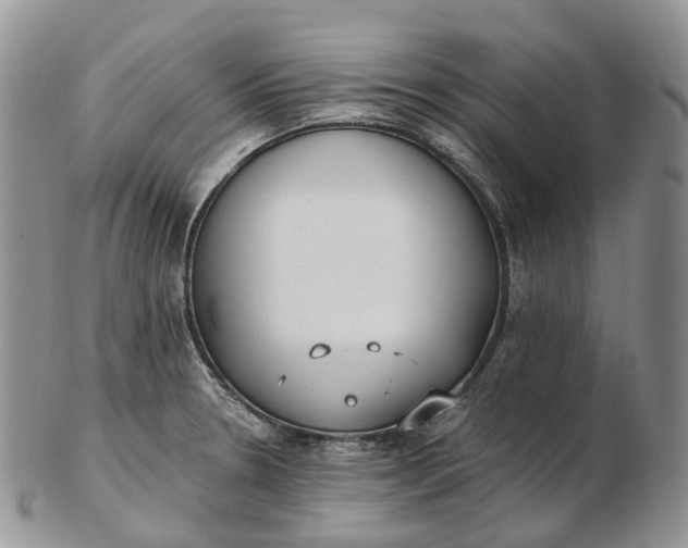 X0000102811330200809021150