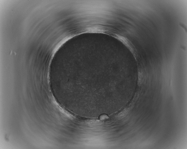 X0000102811331200809021150