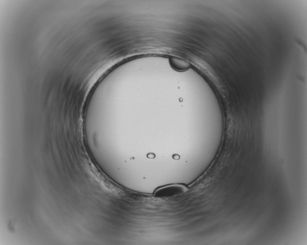 X0000102811332200809021150