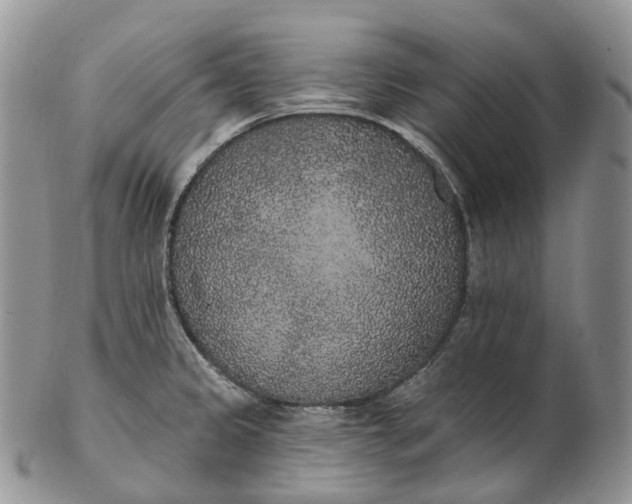 X0000102811333200809021150