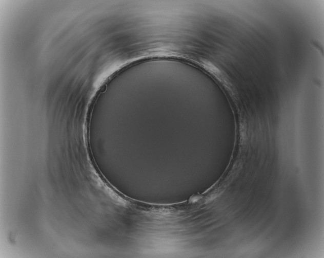 X0000102811334200809021150