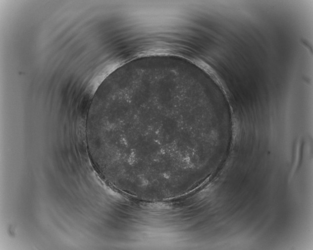 X0000102811337200809021150