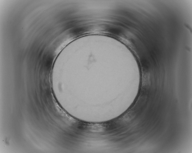 X0000102811338200809021150