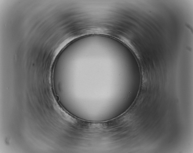 X0000102811339200809021150