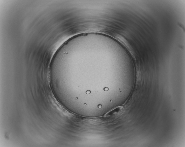 X0000102811340200809021150