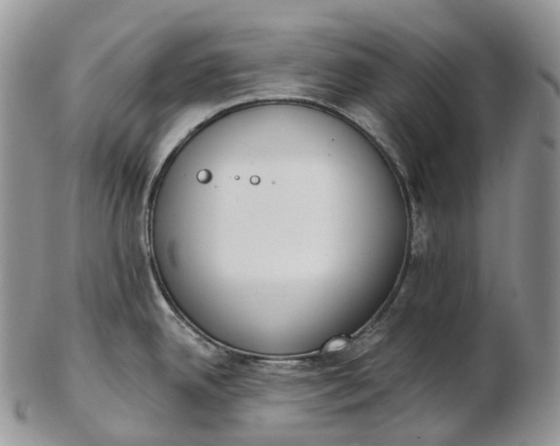 X0000102811342200809021150