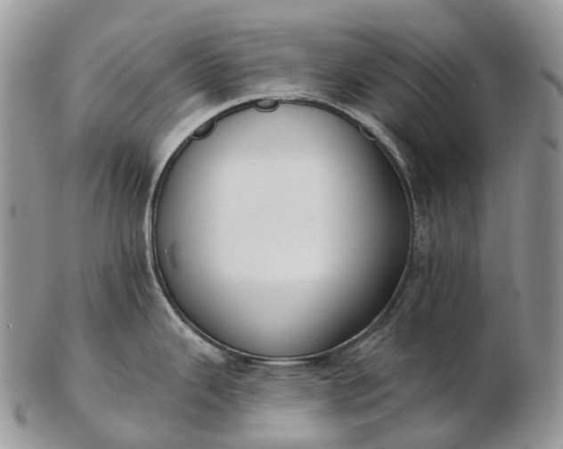 X0000102811343200809021150