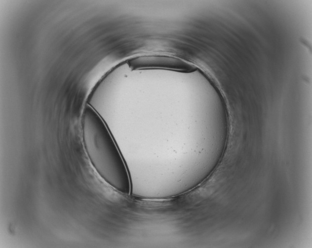 X0000102811344200809021150