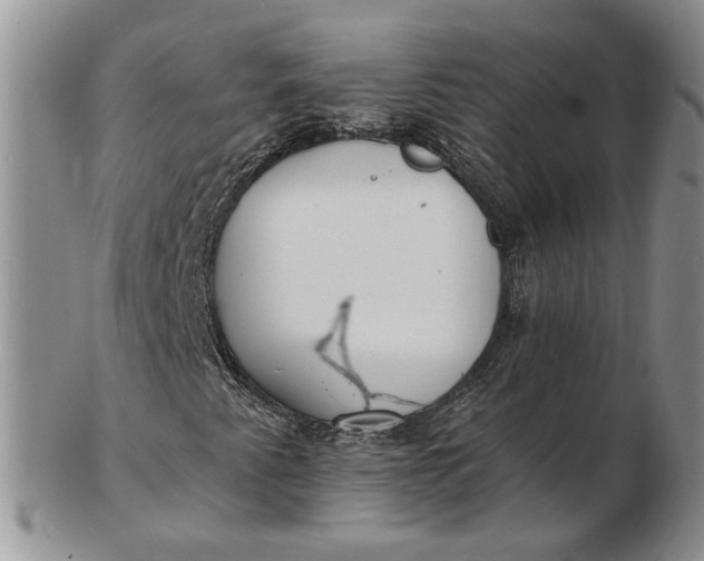 X0000102811345200809021150