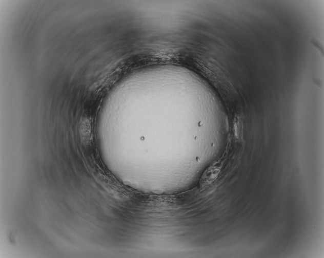 X0000102811347200809021150