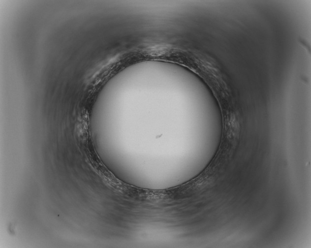 X0000102811349200809021150