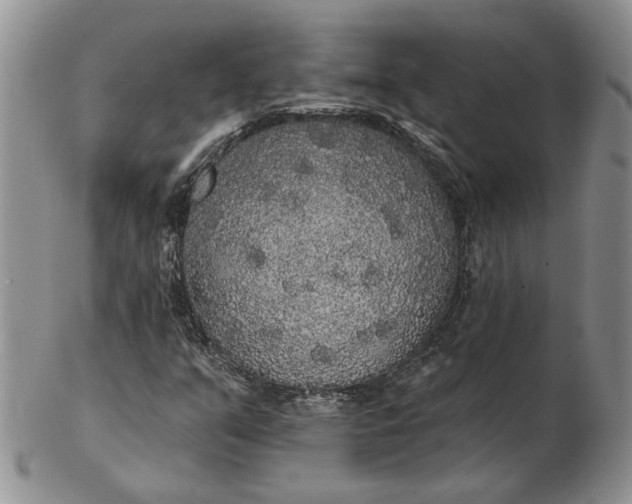 X0000102811351200809021150