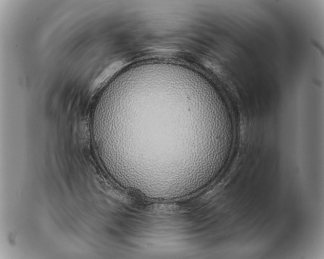 X0000102811354200809021150