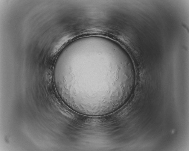 X0000102811355200809021149