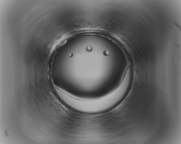 X0000102811357200809021149