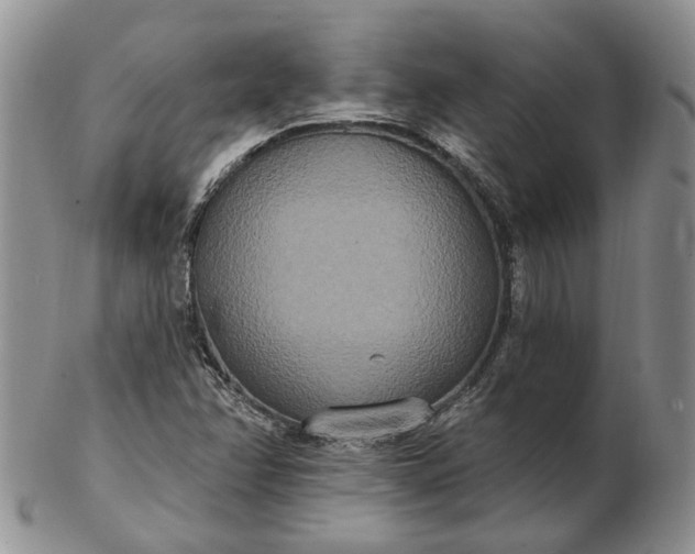 X0000102811358200809021149