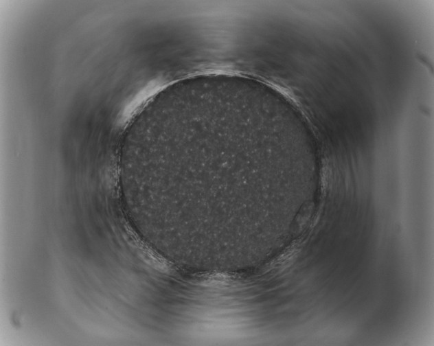 X0000102811359200809021149