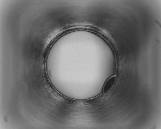 X0000102811360200809021149