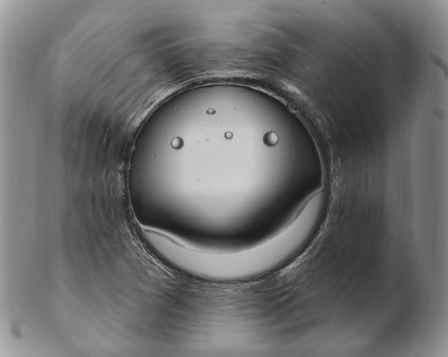 X0000102811361200809021149