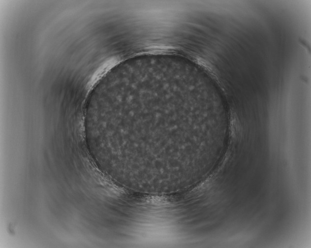 X0000102811362200809021149