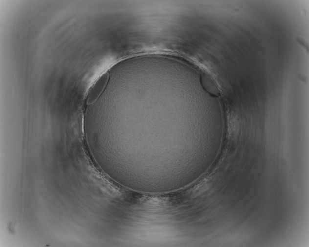 X0000102811365200809021149