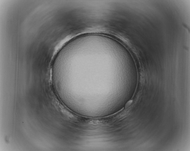 X0000102811366200809021149