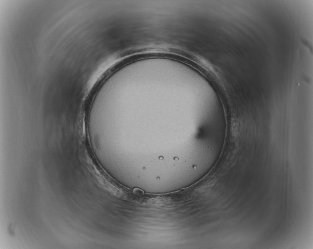 X0000102811368200809021149