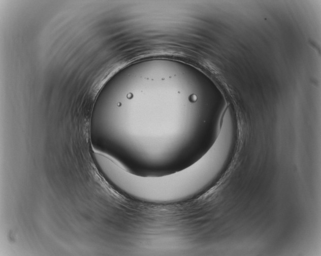 X0000102811369200809021149