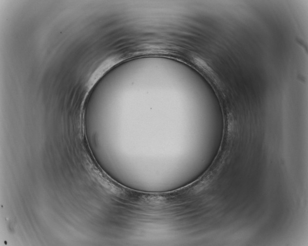 X0000102811370200809021149