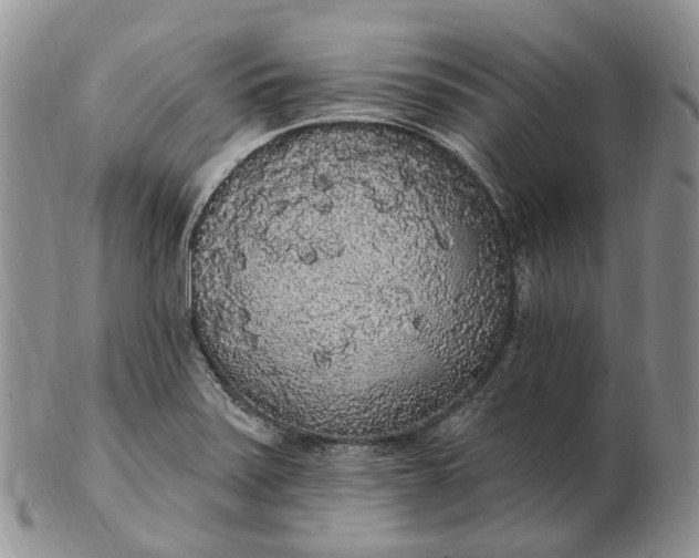 X0000102811371200809021149