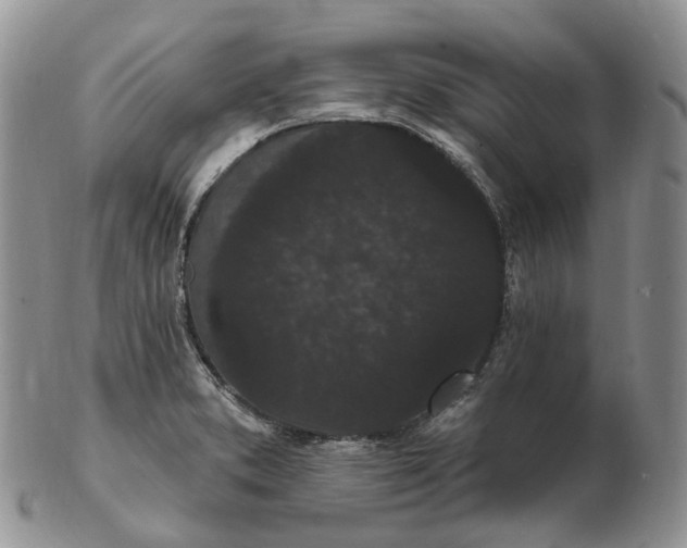 X0000102811373200809021149