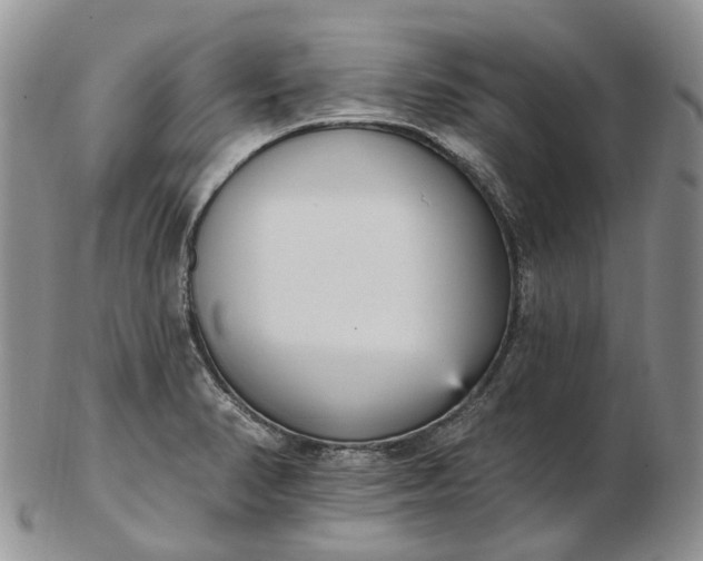 X0000102811374200809021149