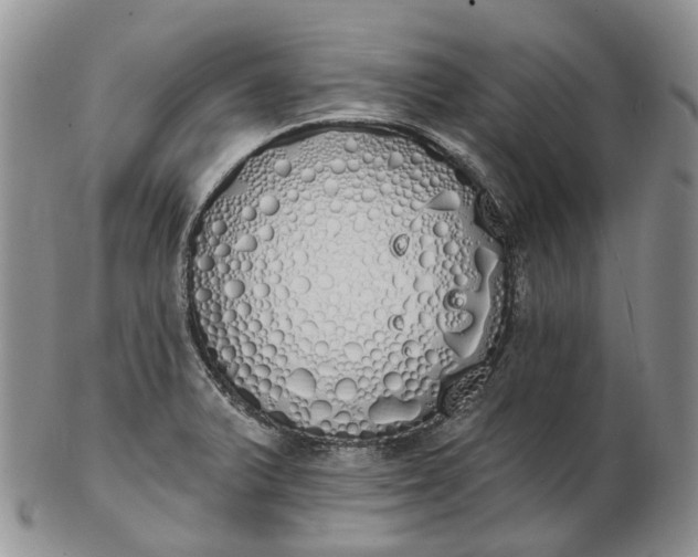 X0000102811375200809021149