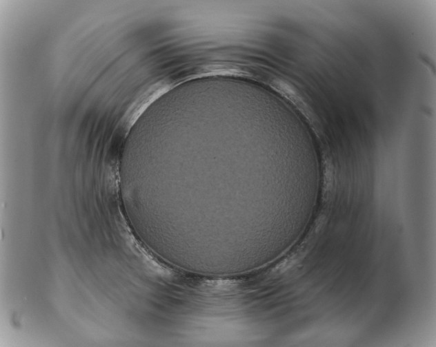 X0000102811377200809021149