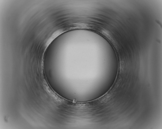 X0000102811378200809021149