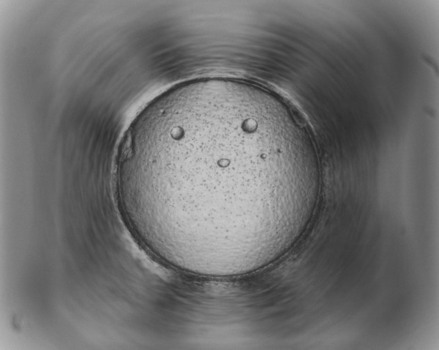 X0000102811379200809021149